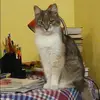 Отзыв от Анфиса Прохорова